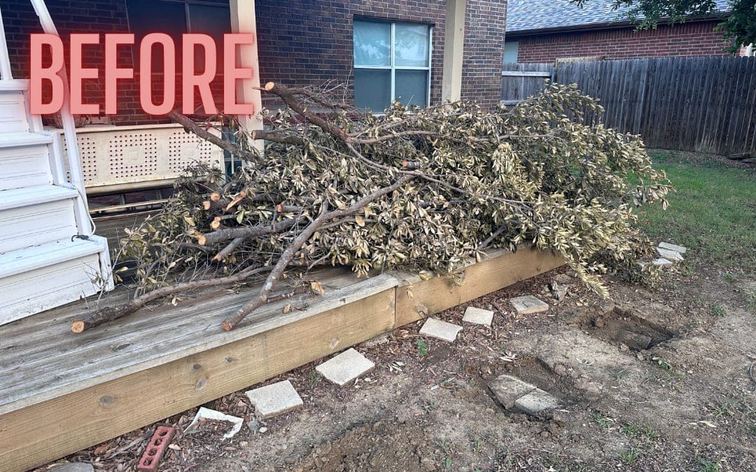 Before: a large branch pile on a backyard deck